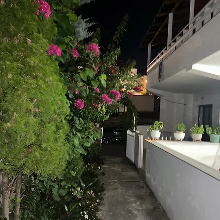 Nava Ksamil Polisi i Vogel