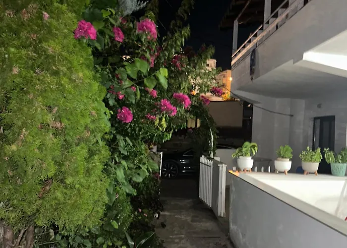 Nava Ksamil Polisi i Vogel